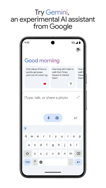Google Gemini — captura 2
