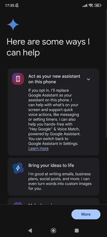 Google Gemini — captura 3