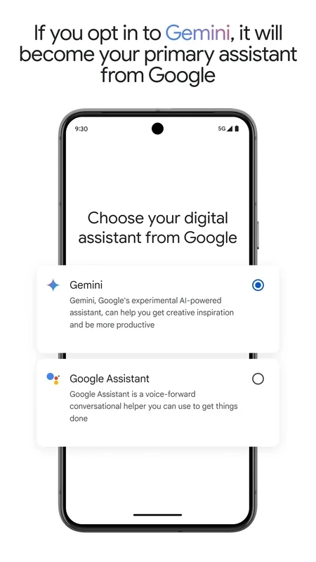 Google Gemini — captura 6